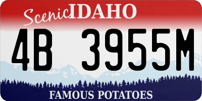 ID license plate 4B3955M