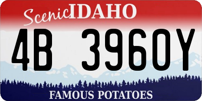 ID license plate 4B3960Y