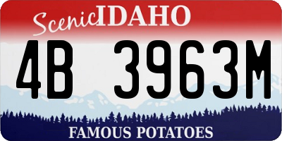 ID license plate 4B3963M