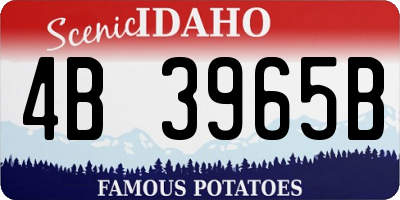 ID license plate 4B3965B