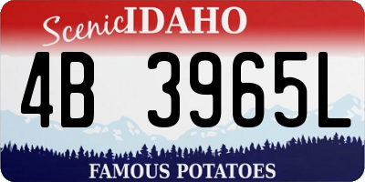 ID license plate 4B3965L