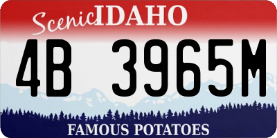 ID license plate 4B3965M