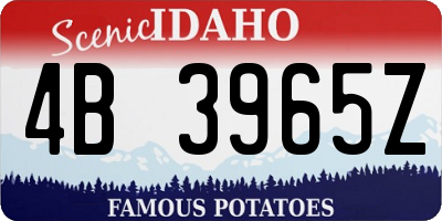 ID license plate 4B3965Z