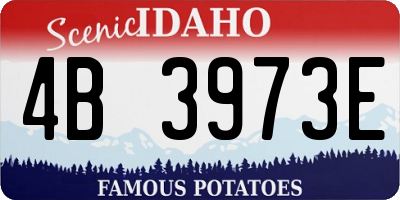 ID license plate 4B3973E