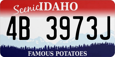 ID license plate 4B3973J