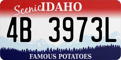 ID license plate 4B3973L