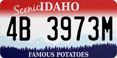 ID license plate 4B3973M