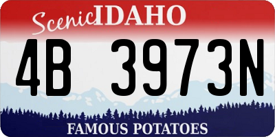 ID license plate 4B3973N