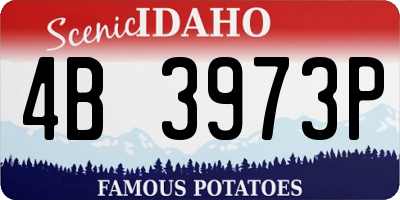ID license plate 4B3973P