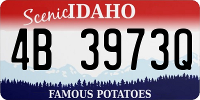 ID license plate 4B3973Q