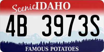 ID license plate 4B3973S