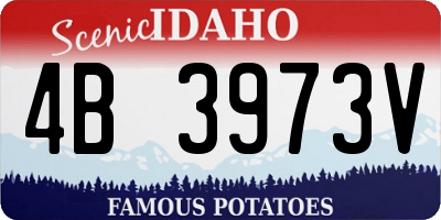 ID license plate 4B3973V
