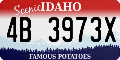 ID license plate 4B3973X