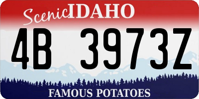 ID license plate 4B3973Z