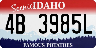 ID license plate 4B3985L
