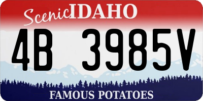 ID license plate 4B3985V
