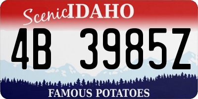 ID license plate 4B3985Z