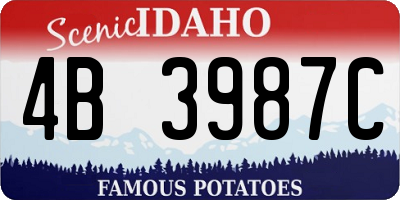 ID license plate 4B3987C