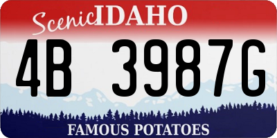 ID license plate 4B3987G