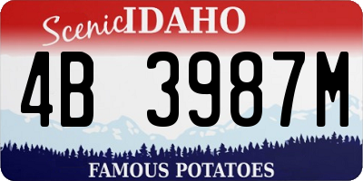 ID license plate 4B3987M