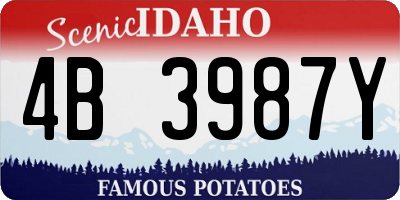 ID license plate 4B3987Y