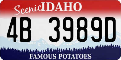 ID license plate 4B3989D