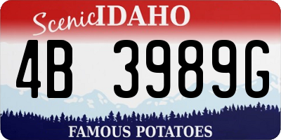 ID license plate 4B3989G