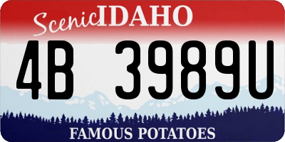 ID license plate 4B3989U