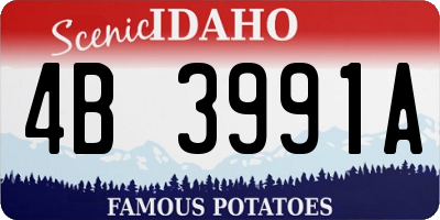 ID license plate 4B3991A