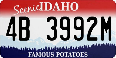 ID license plate 4B3992M