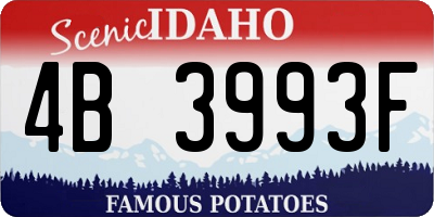 ID license plate 4B3993F