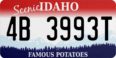 ID license plate 4B3993T