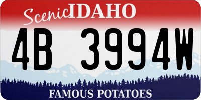 ID license plate 4B3994W