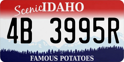 ID license plate 4B3995R