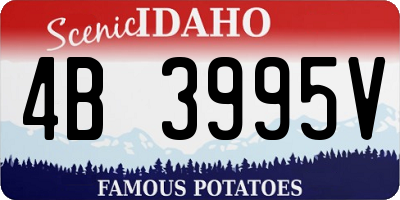 ID license plate 4B3995V