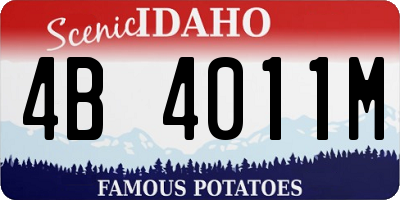 ID license plate 4B4011M