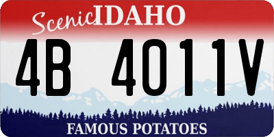 ID license plate 4B4011V