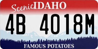 ID license plate 4B4018M