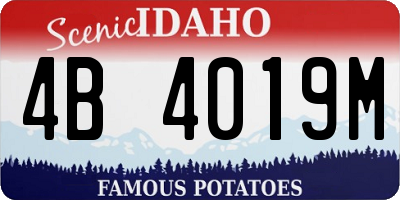 ID license plate 4B4019M