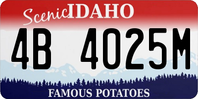 ID license plate 4B4025M