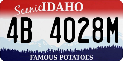ID license plate 4B4028M