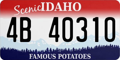 ID license plate 4B4031O