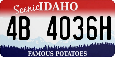 ID license plate 4B4036H