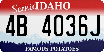 ID license plate 4B4036J