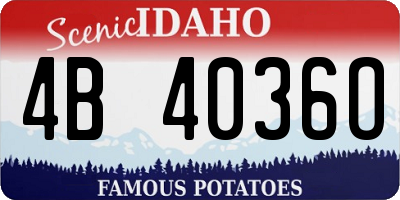 ID license plate 4B4036O