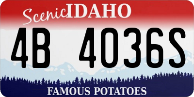 ID license plate 4B4036S