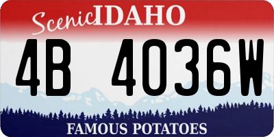 ID license plate 4B4036W