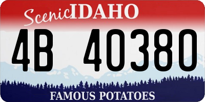 ID license plate 4B4038O
