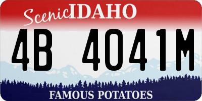 ID license plate 4B4041M