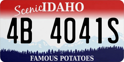 ID license plate 4B4041S